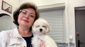 Стригут ли щенков бишон фризе? Если да, то в каком возрасте и что входит в груминг.