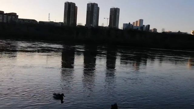 Моя поездка в Красноярск смотреть онлайн