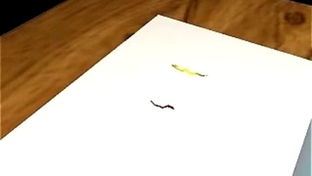 Western Blot or Immunoblot смотреть онлайн