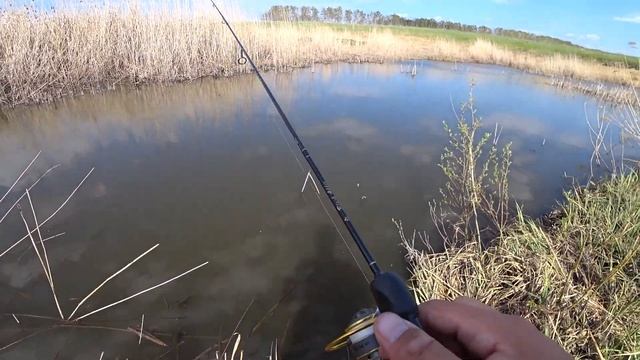 Мормышинг Ловля белой рыбы на малой реке смотреть онлайн