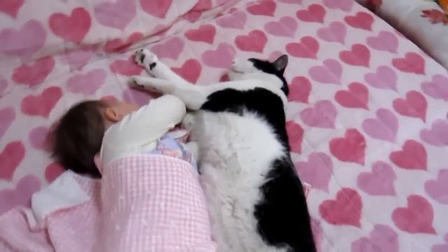 Кот спит с ребёнком смотреть онлайн