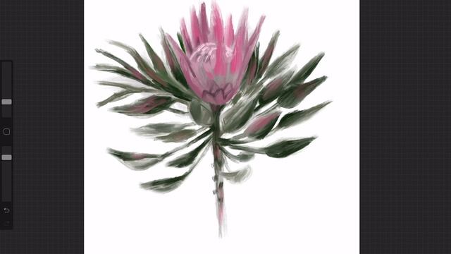 Рисую цветок на iPad Pro в приложении Procreate смотреть онлайн