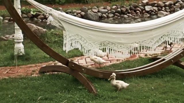 Потрясающий свадебный клип смотреть онлайн