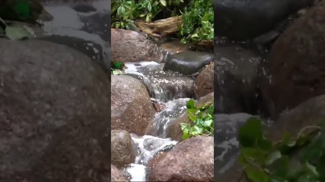 #ДекоративныйВодопад #Ландшафт #Дизайн #Дача #Сад #Растения #Вода