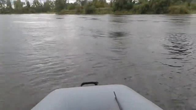 Sea Pro 3 и енисей