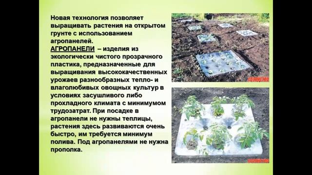 Роль науки в растениеводстве 8 класс смотреть онлайн