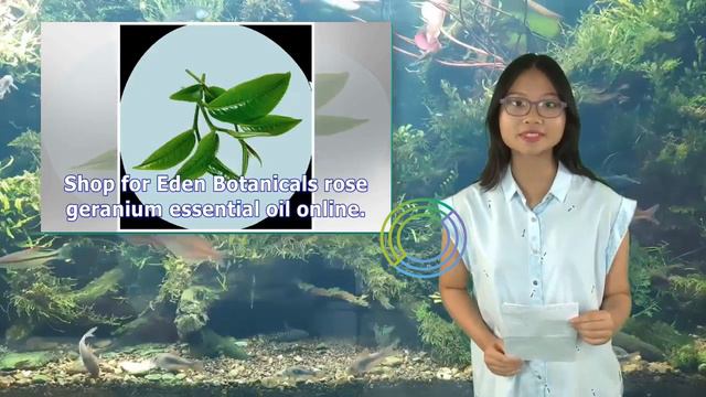 The 10 Best Essential Oils to Try | Tita TV смотреть онлайн