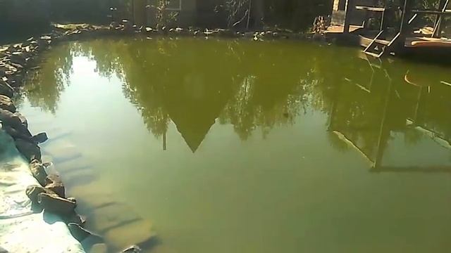 Отзыв о Пленке Винилит от клиента!