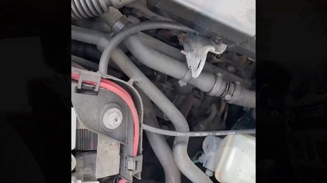 Советы от АВТО 69. ТО системы охлаждения. 1 выпуск смотреть онлайн