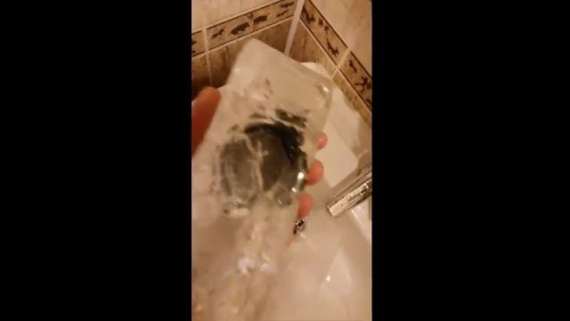 Hard use testing: Casio G-Shock смотреть онлайн