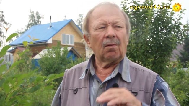 Отчего дюки и черешню в Сибири не стоит выращивать смотреть онлайн