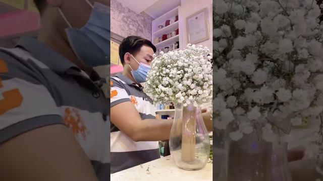 Gypsophila Flower смотреть онлайн