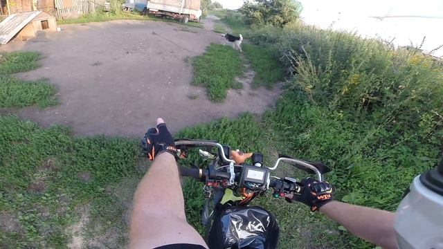 Собака & велосипедист. Беременным велосипедисткам не смотреть 8) смотреть онлайн