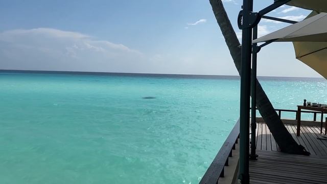 One&Only Reethi Rah Maldives 2020 | Full Tour Experience смотреть онлайн