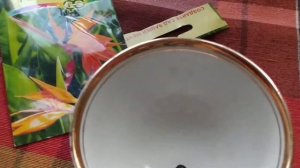 Стрелиция. Райская птица. Выращивание из семян.