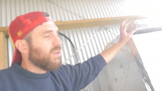 10 Questions About Running a Profitable Mushroom Farm смотреть онлайн