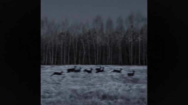 (free) post punk + alternative indie rock type beat ~ "echoes" (prod. grayskies) смотреть онлайн