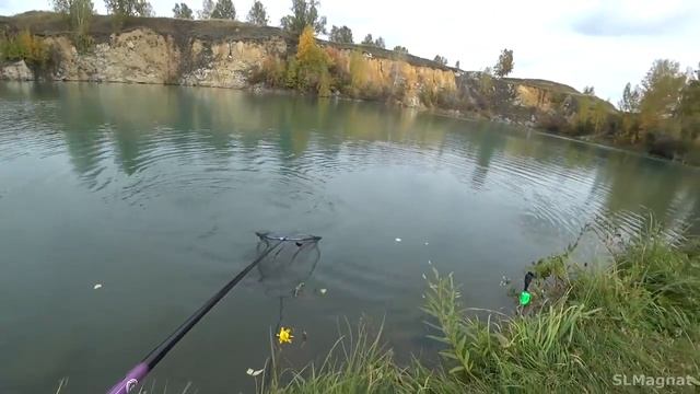 Закинули Креветку в Карьер...ОНА ВЗЯЛА поплавок! Как Огромный Карп. Рыбалка 2022 смотреть онлайн