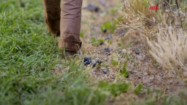 Solar powered Security Camera Setup