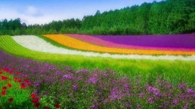 Любовь - вызревшая необходимость