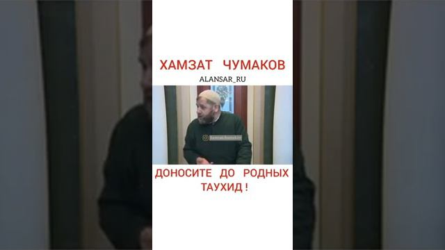 Хамзат Чумаков - Доносите до родных Таухид! смотреть онлайн