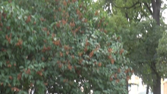 Венчание смотреть онлайн