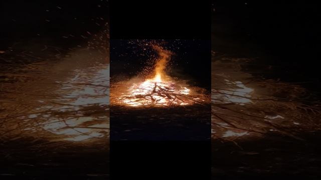 Как красиво горят сухие ветки! смотреть онлайн