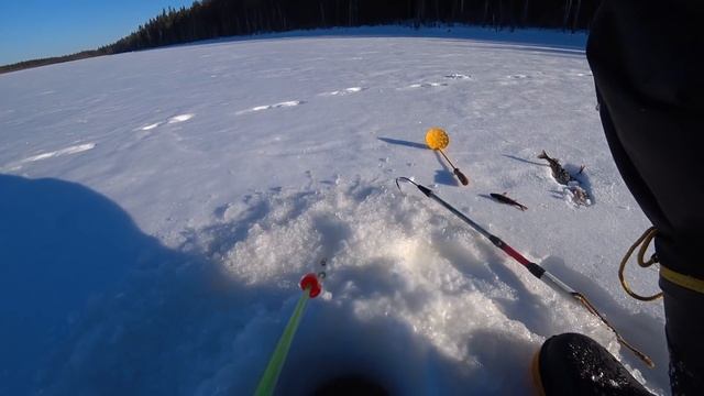 ОГРОМНЫЕ НАЛИМЫ ВЕСЕННЯЯ РЫБАЛКА В КАРЕЛИИ #рыбалка2022 смотреть онлайн