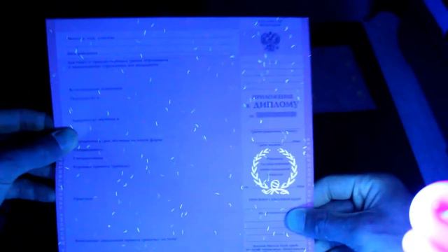 Диплом о среднем профессиональном образовании 2004 смотреть онлайн