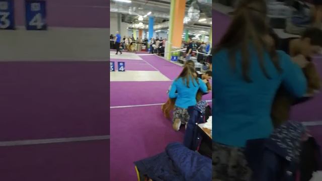 VID 20190331 115006 смотреть онлайн