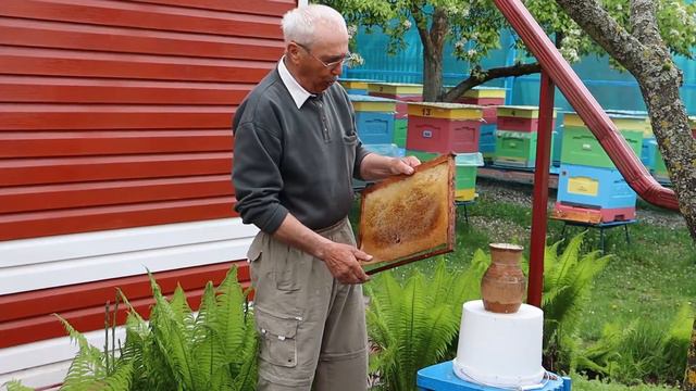 Отличная поилка для пчёл смотреть онлайн