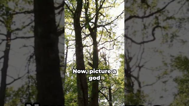 Apollon's Radiant Achievements смотреть онлайн