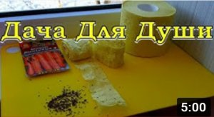 ХИТРАЯ посадка МОРКОВИ, чтобы потом не прореживать! Делаем ЭТО СЕЙЧАС???