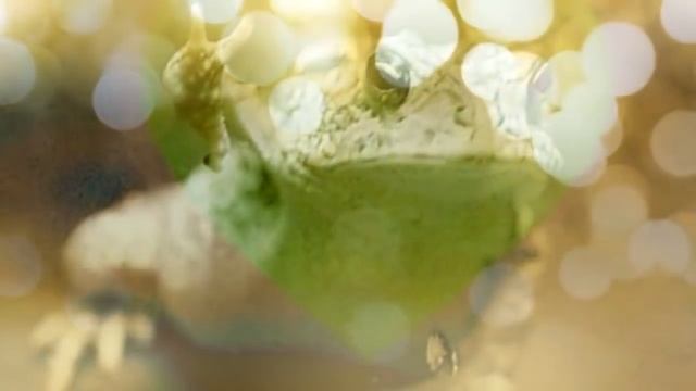 Для Удачной ТОРГОВЛИ. Медитация смотреть онлайн