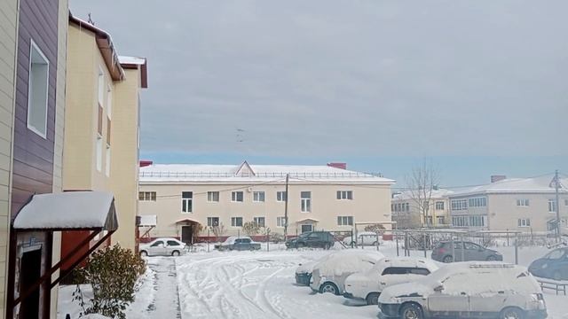 Целый день одно дуракаваляние ?? #заходиначай смотреть онлайн