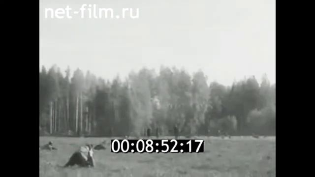 1971г. Ивановская обл. Игра "Зарница". Шуйский район смотреть онлайн