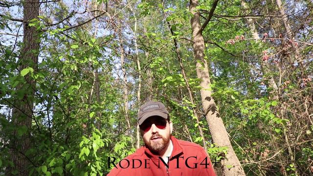 Canon 80D Outdoor Internal Mic vs Rode NTG4+ Shotgun смотреть онлайн