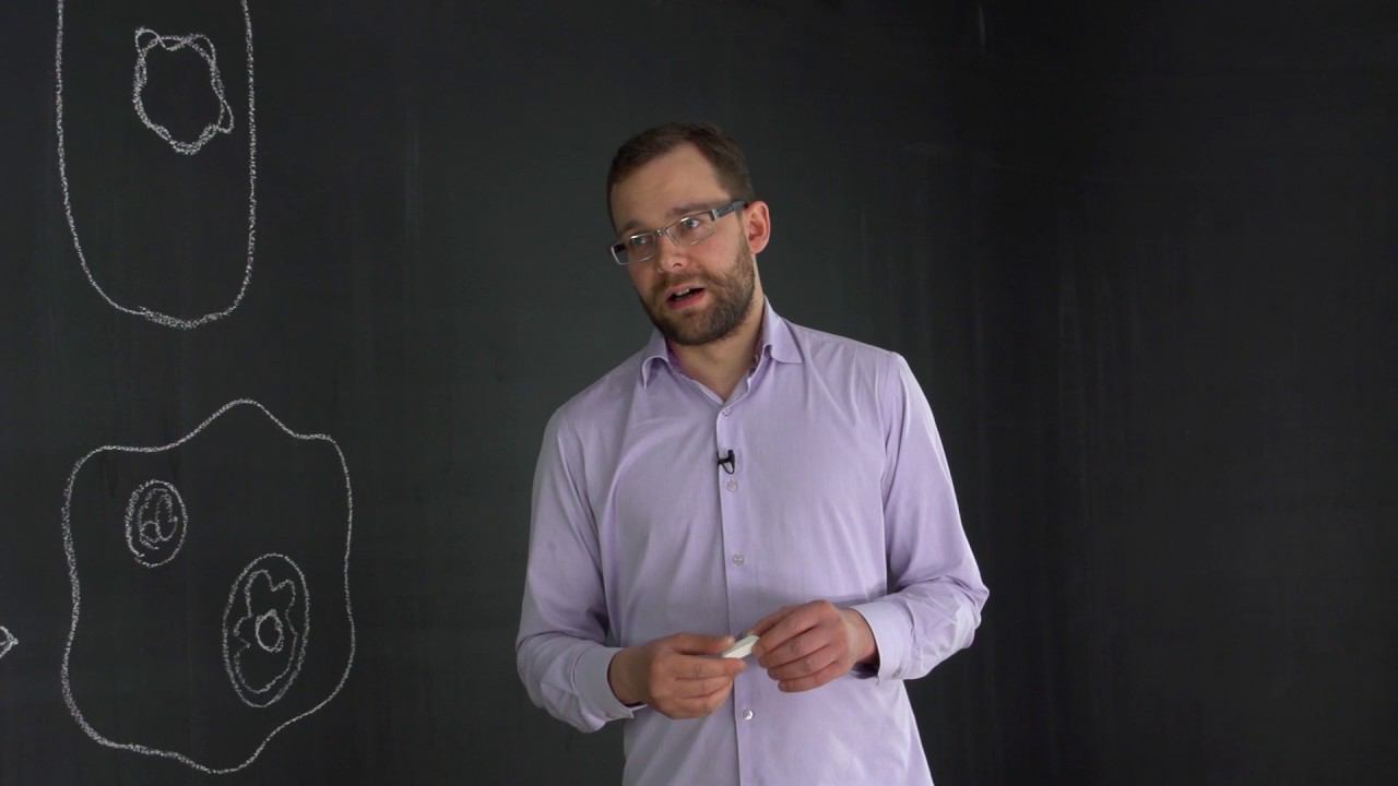 4.3 Где находится ДНК? Биоинженерия. Естествознание - 10 - 11 класс смотреть онлайн