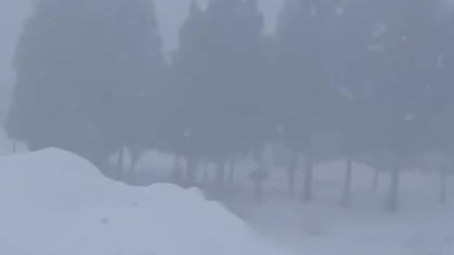 Ice Apocalypse in Japan! Hokkaido is buried by strong winds and snowfall! смотреть онлайн