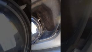 ВОЛЬВО ЗАМЕНА ПТФ