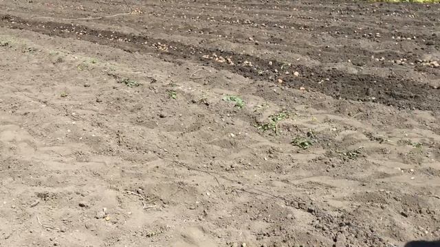 Картофелекопалка электрическая смотреть онлайн