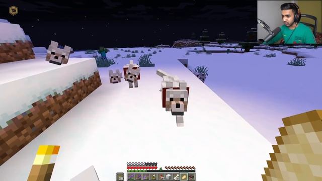 FINALLY PANDA AND DOGS IN MY CASTLE | MINECRAFT GAMEPLAY #49 смотреть онлайн