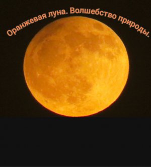Оранжевая Луна.Волшебство природы.Красота мира.