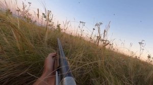 Охота на Сурка "Картечь рулит"