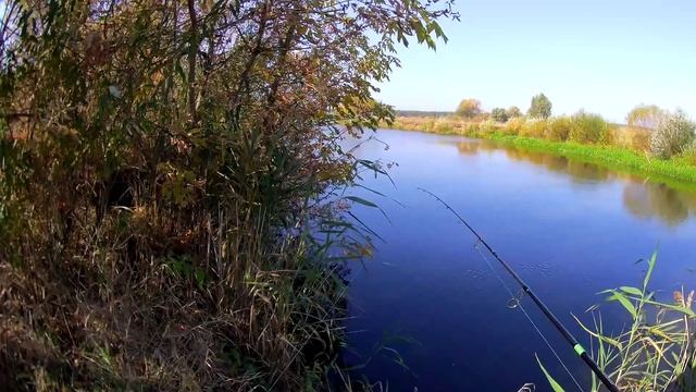 Рыбалка со спиннингом с берега ловля щуки и судака смотреть онлайн