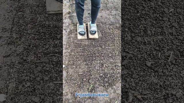 Как посадить газон своими руками. Лучший способ! смотреть онлайн