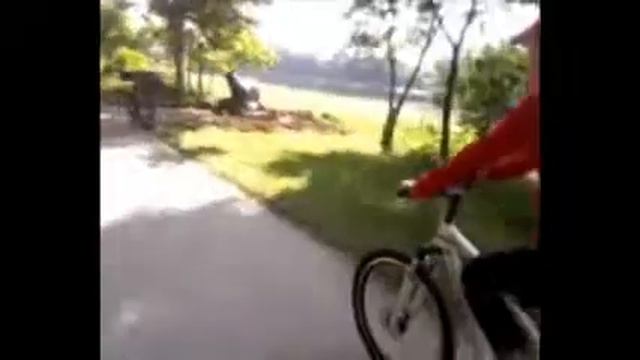 Bike Ride in River Banks with James, Nikki & Koko смотреть онлайн