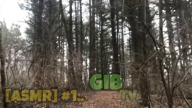 [ASMR] #1 OAK SAVANNA TRACING & WALK THRU PINE ISLAND.. смотреть онлайн