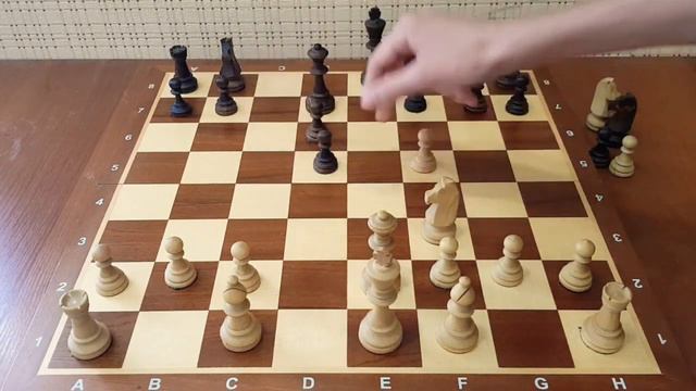 ЛОВУШКИ за белых в начале партии. Шахматы обучение. Шахматы дебюты. Шахматные ловушки смотреть онлайн