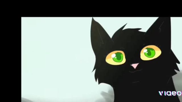 коты-воители. Пророчество Синей звезды. Начало, 1 глава. смотреть онлайн